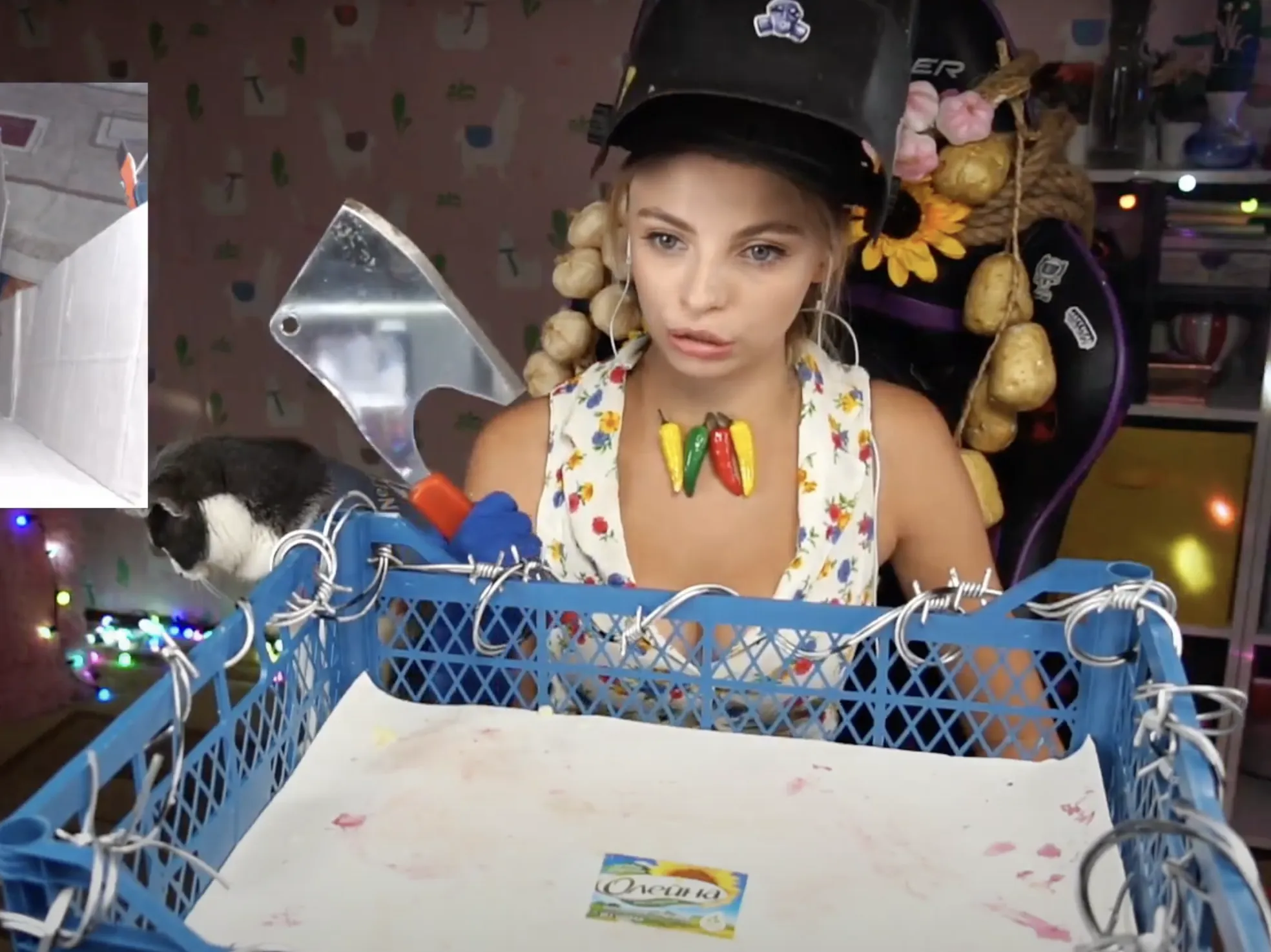   ,     dqxikeidqxitkant