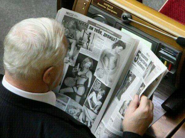 депутат за работой dqxikeidqxitkant