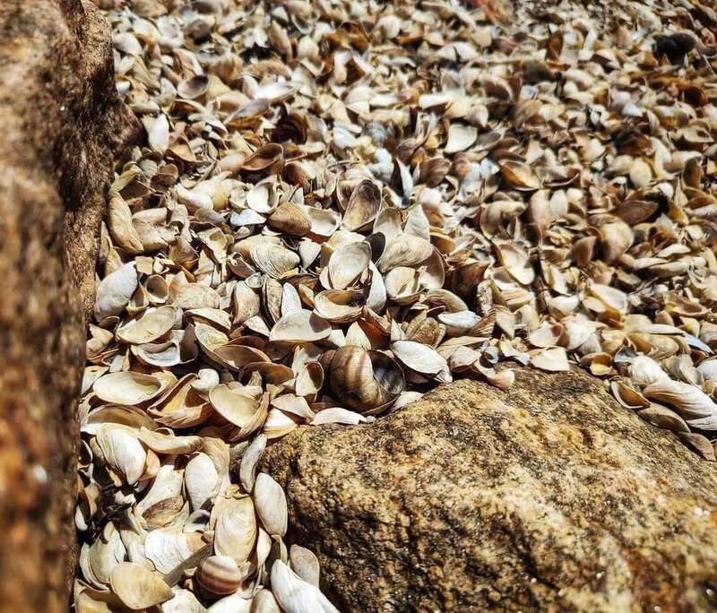 У мережі показали, як зараз виглядає Каховське водосховище. Фото