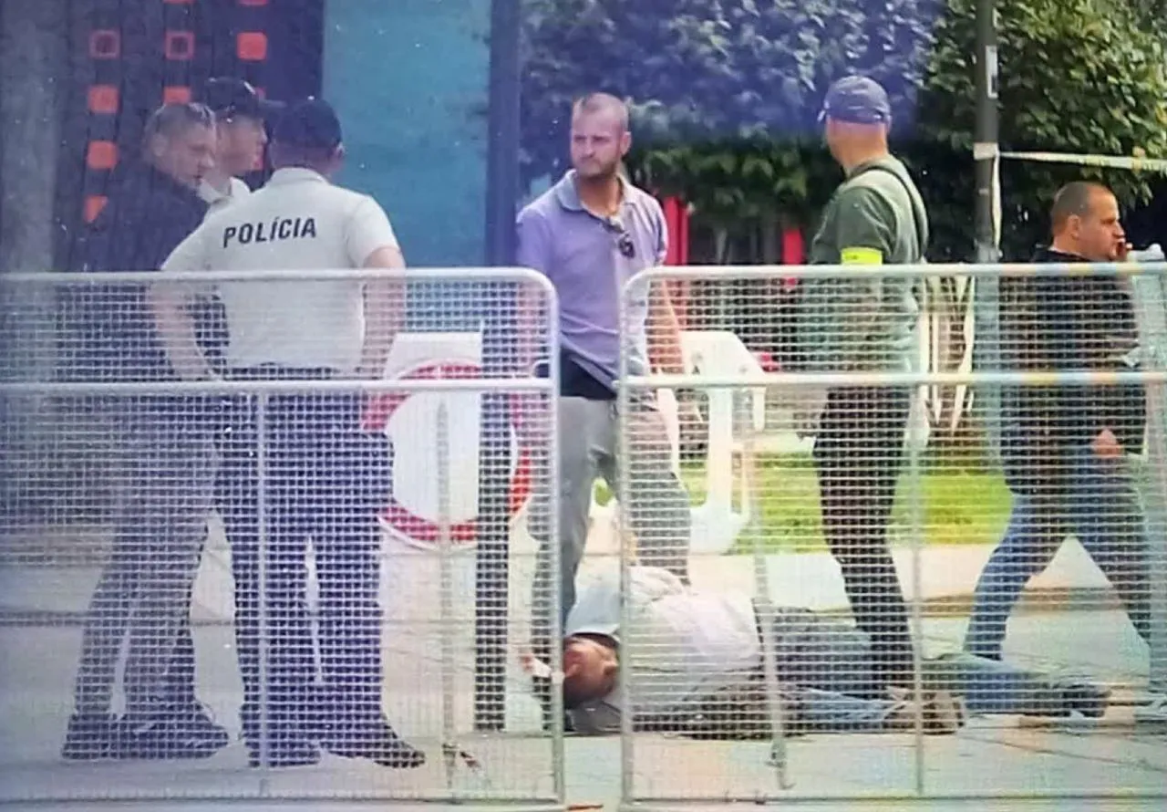 Suspect in the assassination attempt on Fico