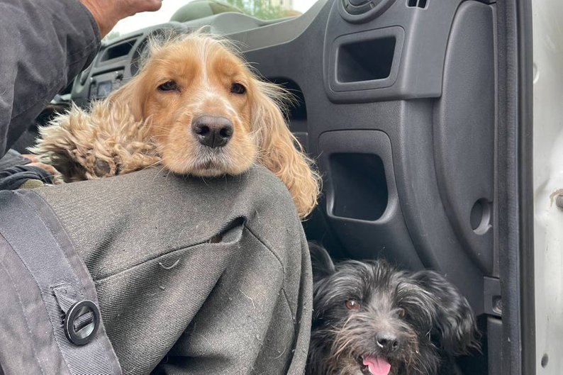 Эвакуация из Волчанска, 15 мая 2024 года