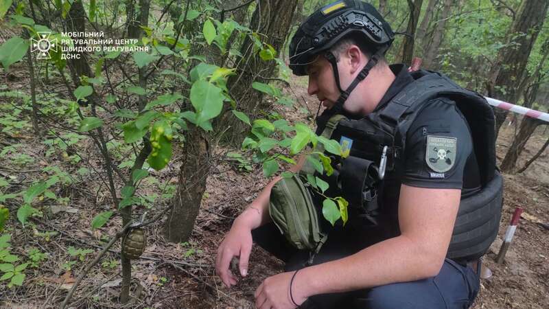 Под Киевом была найдена граната Ф-1 на растяжке, которую оставили российские оккупанты. Фото dqxikeidqxiqxxant