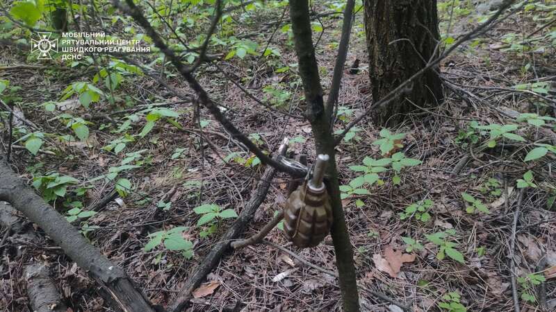 Под Киевом была найдена граната Ф-1 на растяжке, которую оставили российские оккупанты. Фото