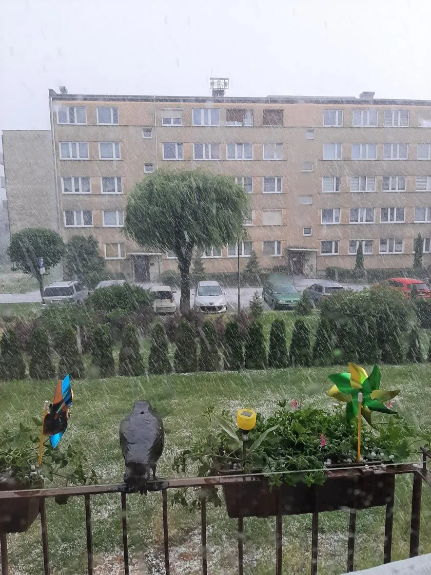 На улицах появились ледовые реки: в Польше пронеслась сильная буря с градом. Фото и видео dqxikeidqxitkant