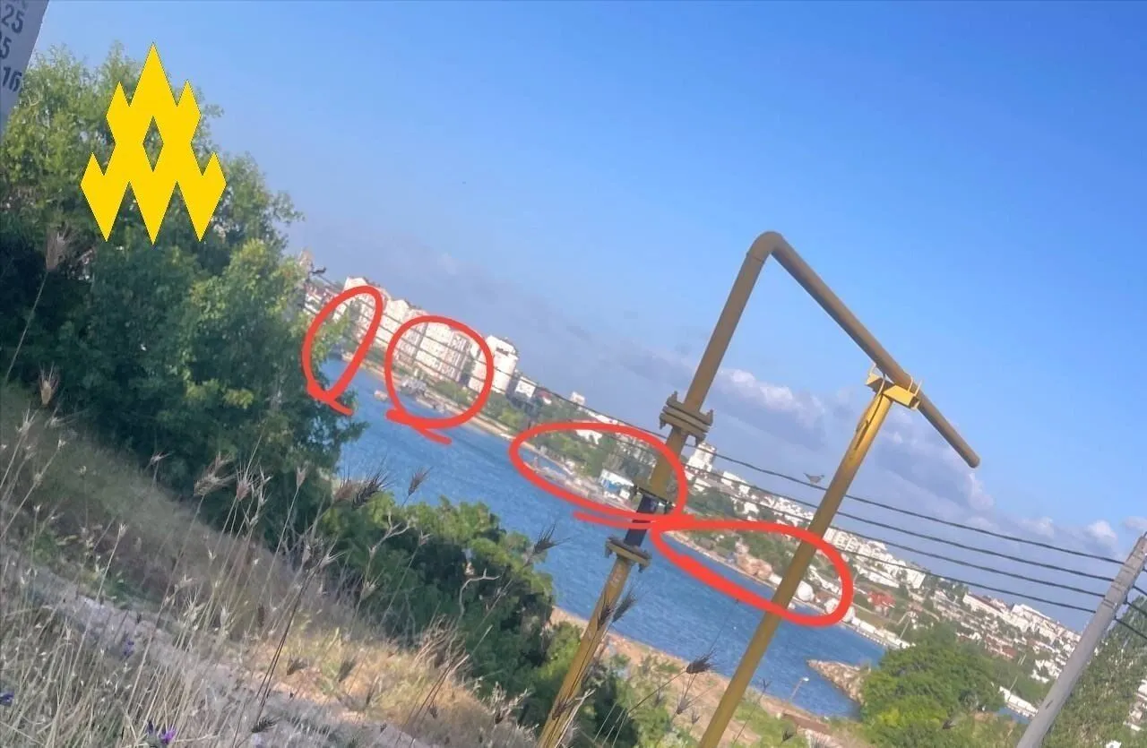 Агенты dqxikeidqxitkant