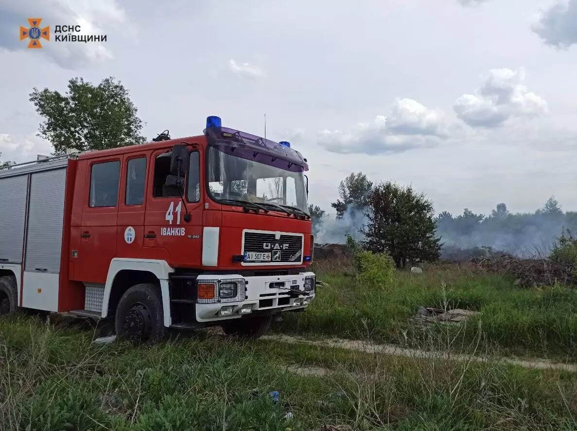 Помітили в купі сміття: на Київщині під час пожежі бійці ДСНС врятували маленького їжака. Фото dqxikeidqxitkant