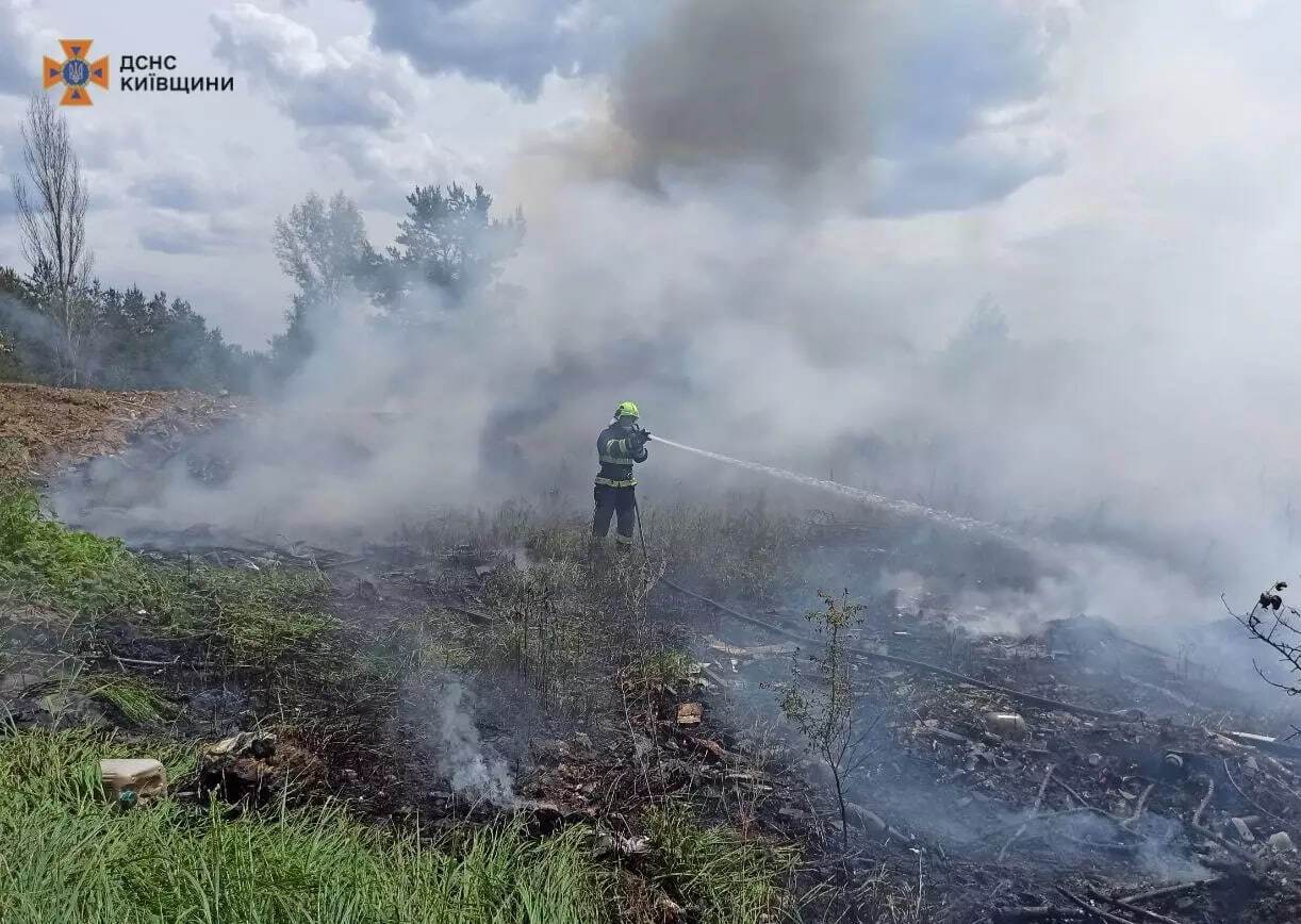 Помітили в купі сміття: на Київщині під час пожежі бійці ДСНС врятували маленького їжака. Фото