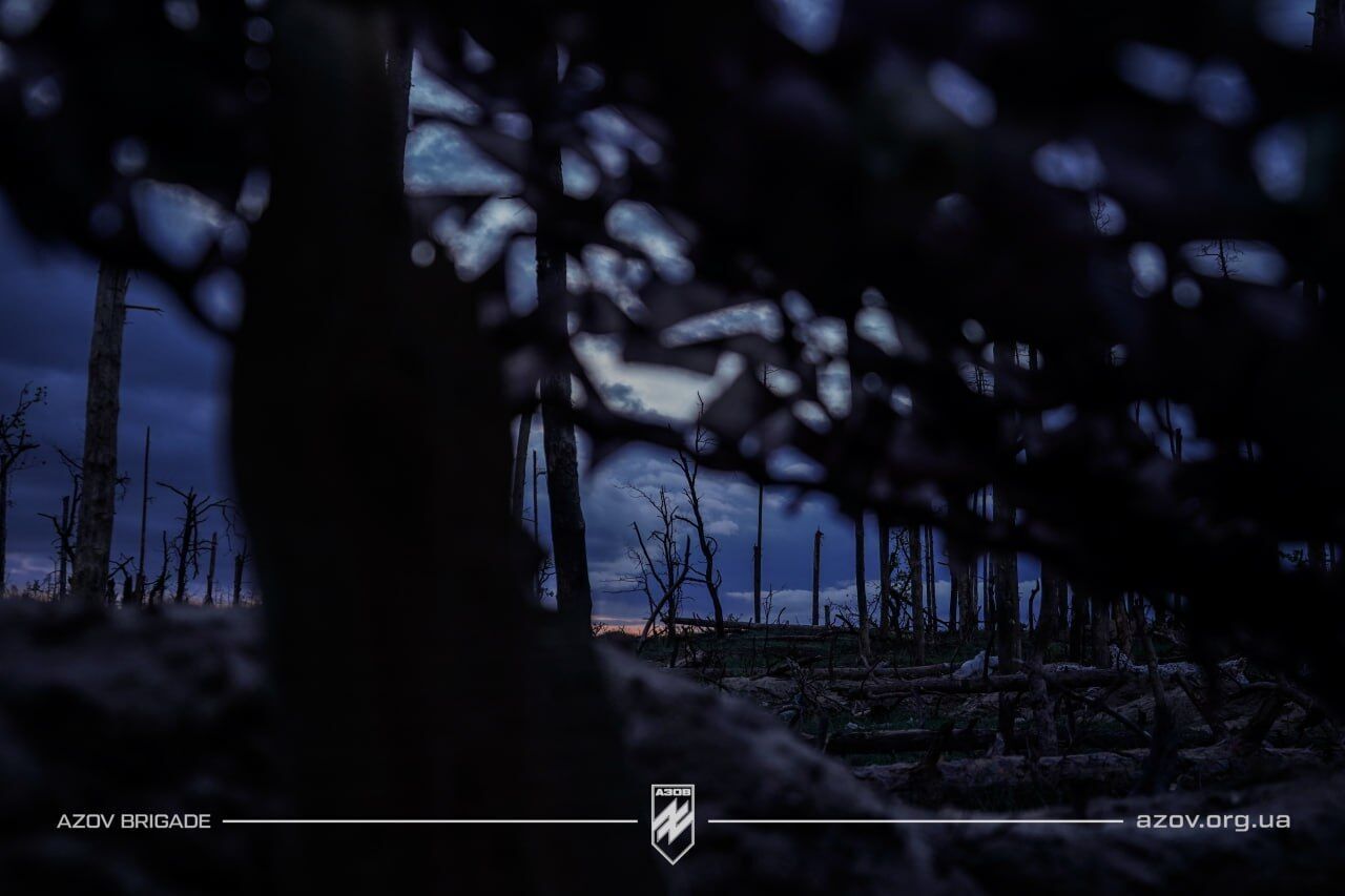   :   dqxikeidqxitkant