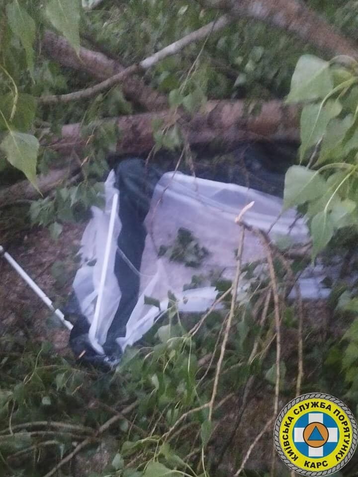 Прятались от непогоды: в Киеве на Троещине во время грозы дерево упало на палатку, есть пострадавшие. Подробности и фото