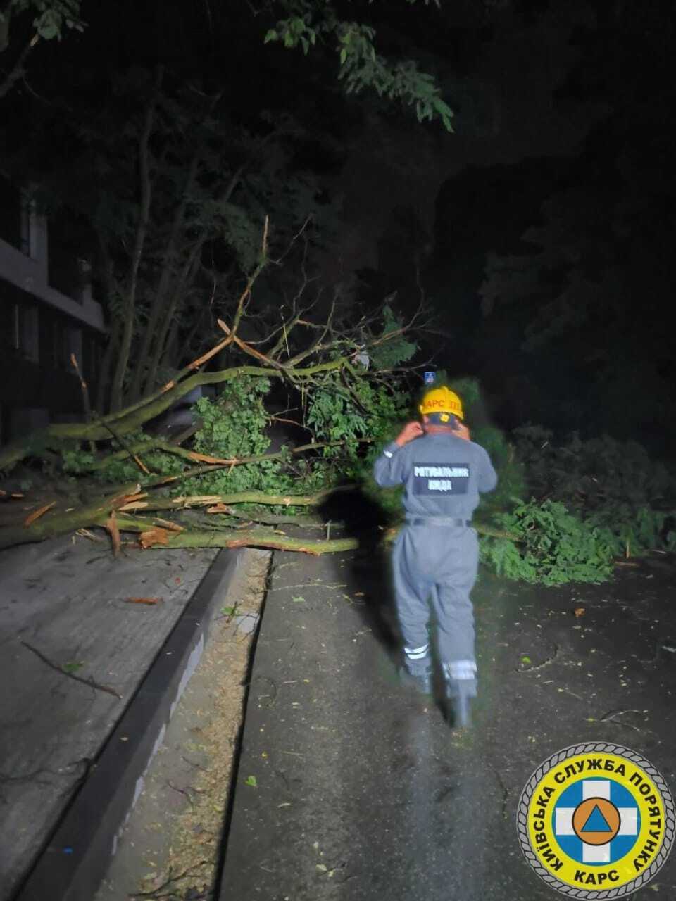 Прятались от непогоды: в Киеве на Троещине во время грозы дерево упало на палатку, есть пострадавшие. Подробности и фото