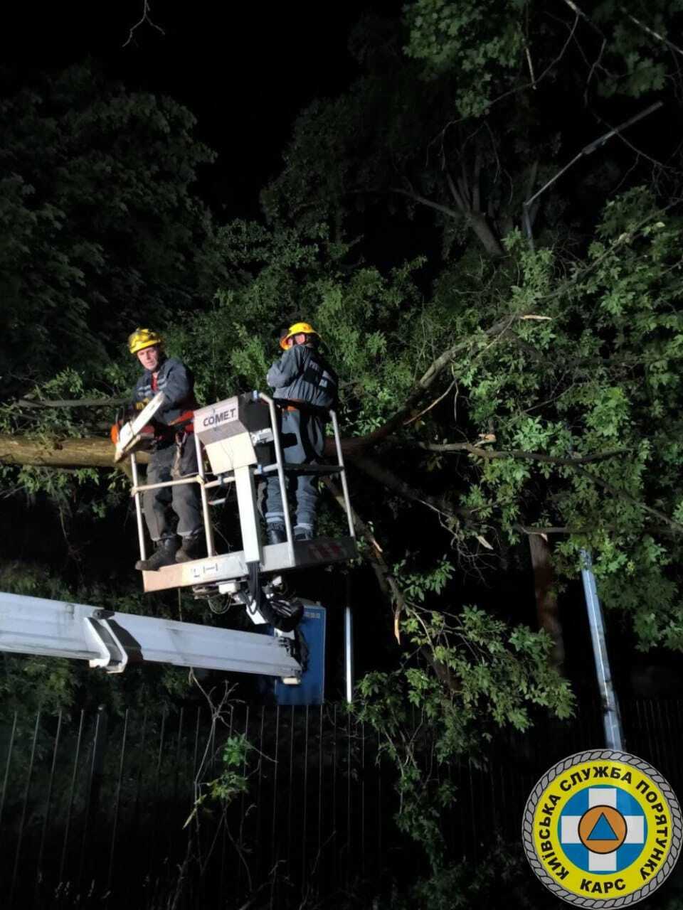 Прятались от непогоды: в Киеве на Троещине во время грозы дерево упало на палатку, есть пострадавшие. Подробности и фото