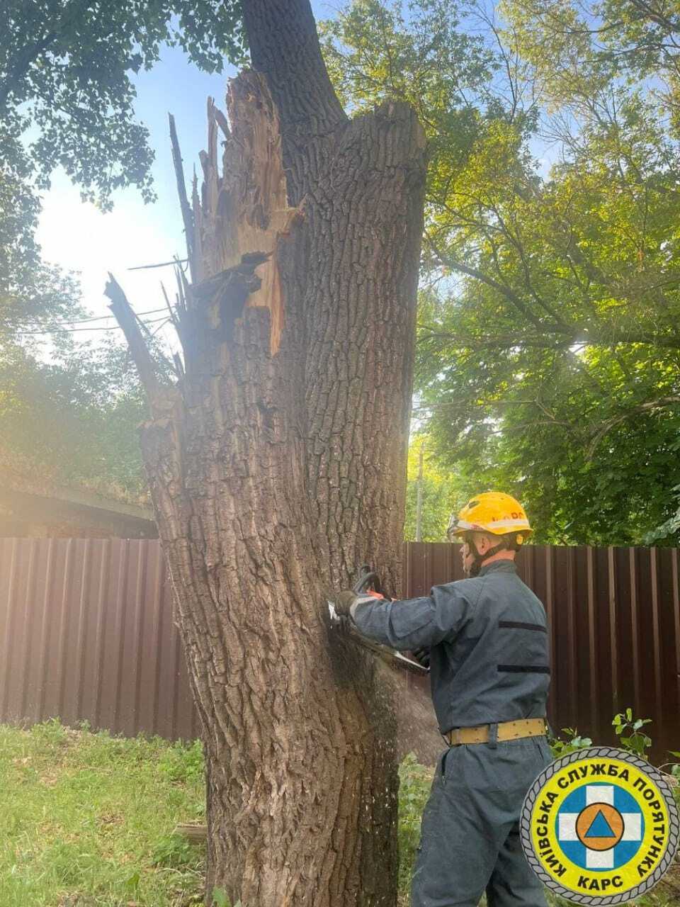 Прятались от непогоды: в Киеве на Троещине во время грозы дерево упало на палатку, есть пострадавшие. Подробности и фото