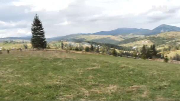 Земельный участок в Карпатах, которым владеет жена руководителя Львовской таможни / ©