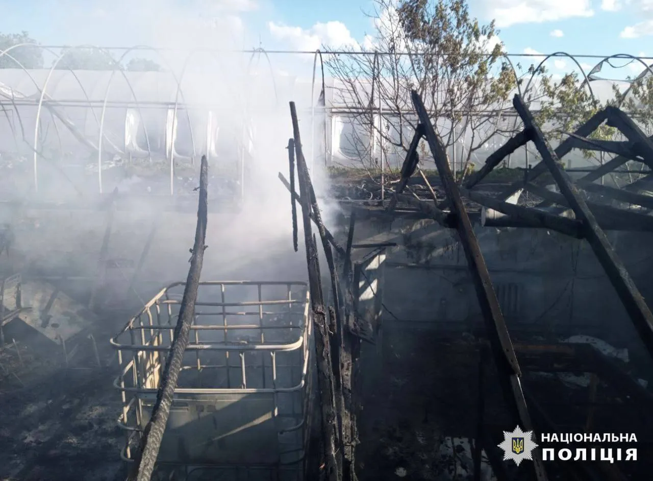 В Киевской области произошел масштабный пожар на улиточной ферме. Подробности и фото