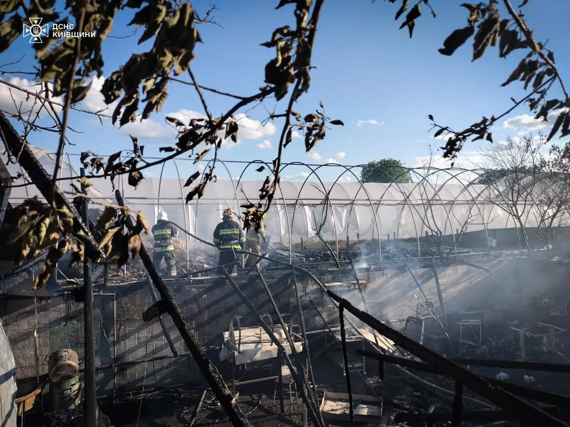 На Київщині сталась масштабна пожежа на равликовій фермі. Подробиці і фото