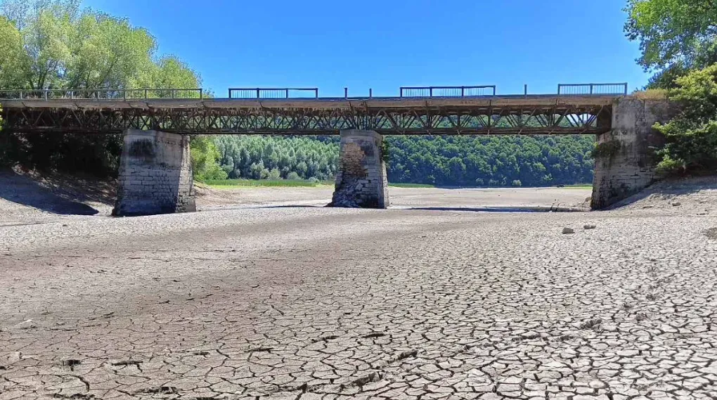 Днестр и Збруч обмелели до дна, умерла рыба и мидии: как это связано с русскими обстрелами и готовиться ли к катастрофе