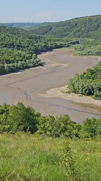 Днестр и Збруч обмелели до дна, умерла рыба и мидии: как это связано с русскими обстрелами и готовиться ли к катастрофе