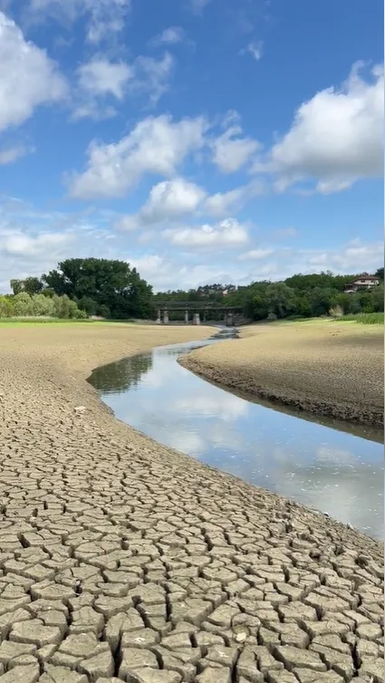 Днестр и Збруч обмелели до дна, умерла рыба и мидии: как это связано с русскими обстрелами и готовиться ли к катастрофе
