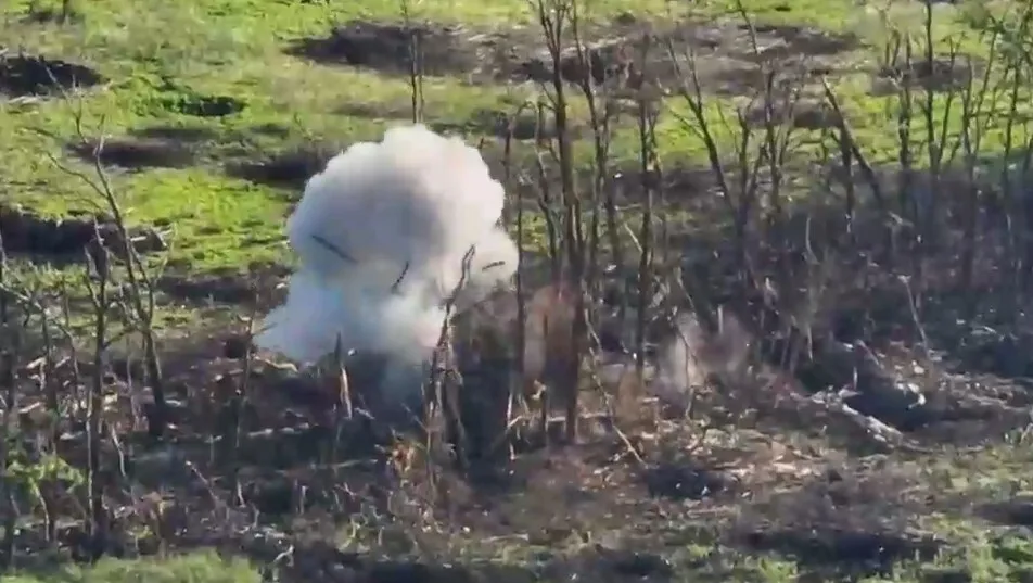      -12  dqxikeidqxidant