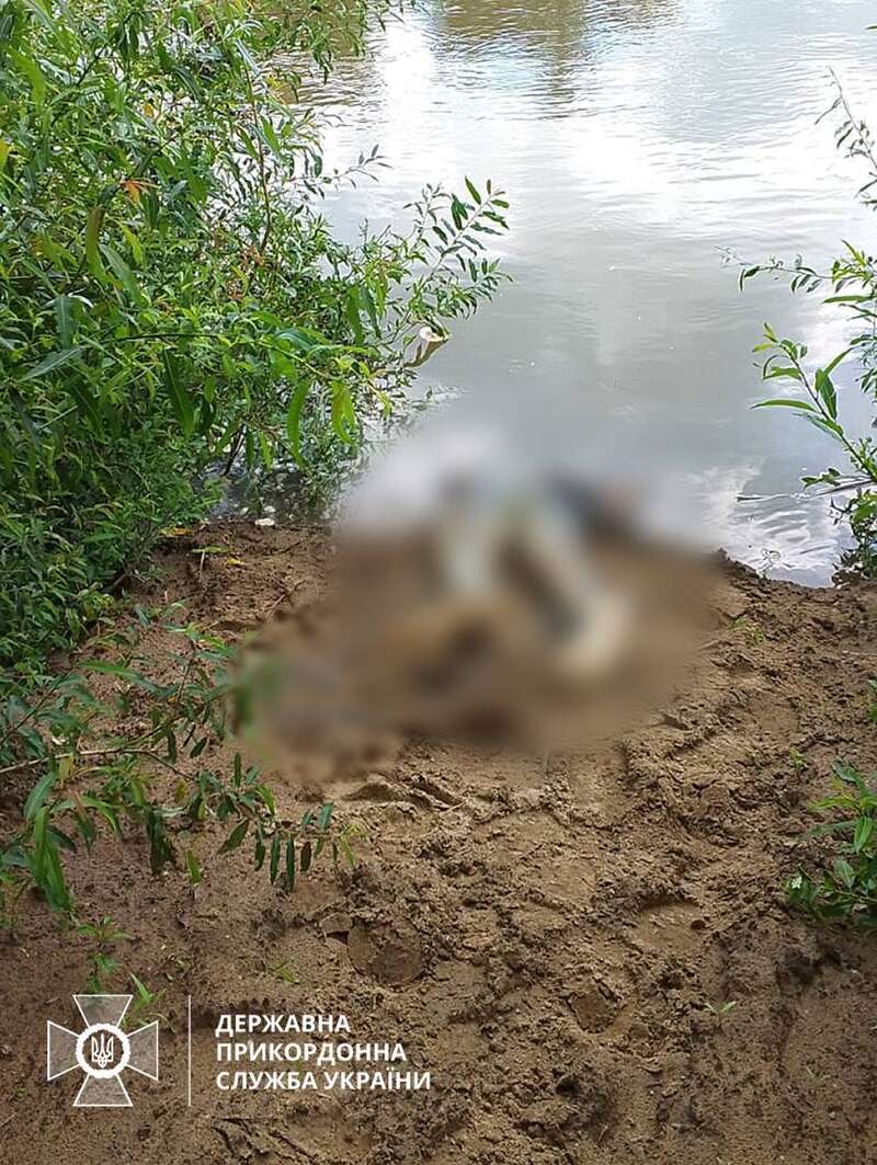 Тіло винесло течією до берега: у Тисі потонув ще один чоловік dqxikeidqxitkant
