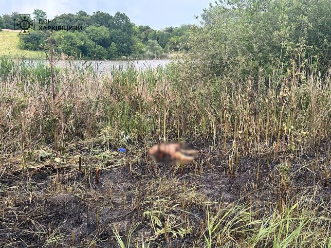 Новости Харькова: на лугу сгорела женщина | РЕППОСТ dqxikeidqxiqqeant
