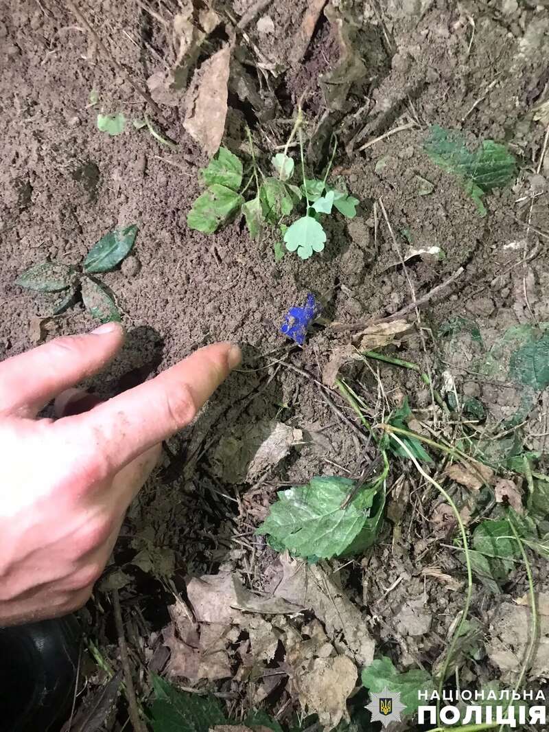      19- .    dqxikeidqxiqqeant