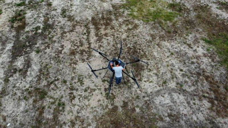 , Chimera, ,  dqxikeidqxiqqeant