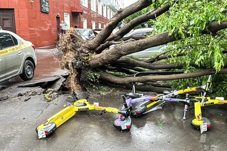     :      ,   .  dqxikeidqxidant