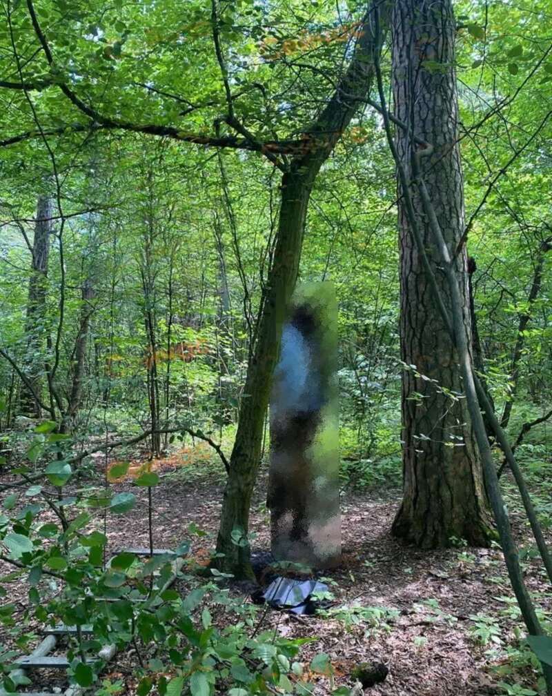       .   dqxikeidqxiqqeant