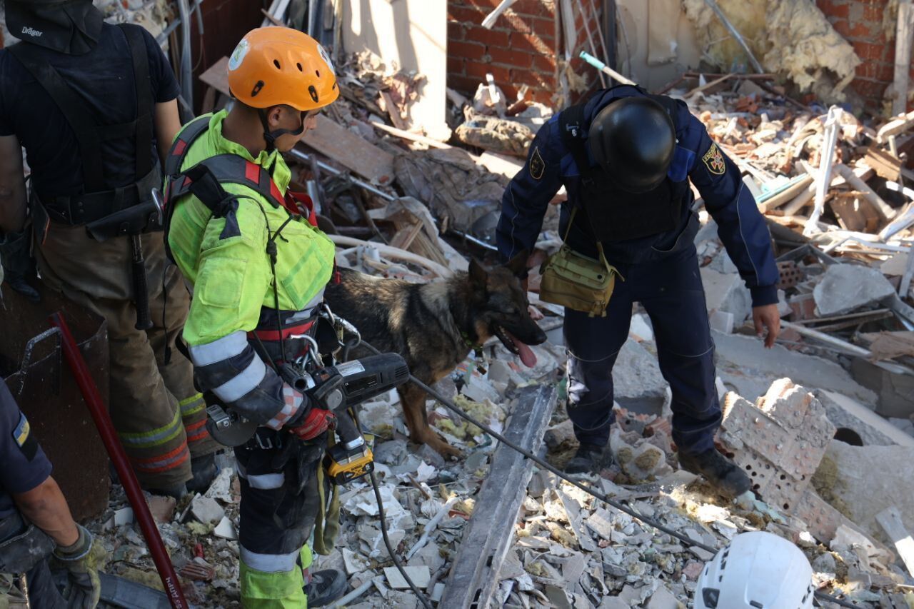 Россияне более 10 раз обстреляли Никопольщину: выгорело 2,5 га пшеницы, разрушения. Фото