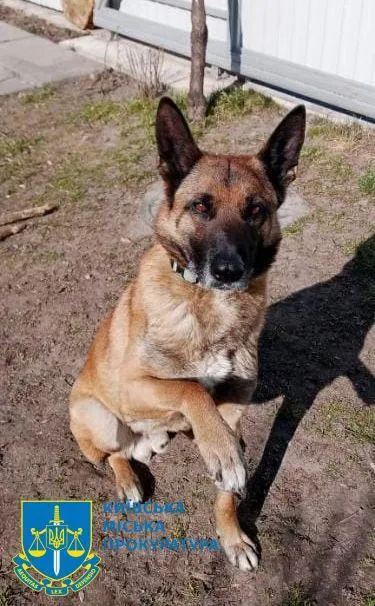   ,    :    51-  dqxikeidqxidant