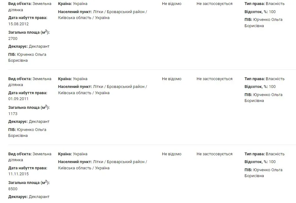 Ольга Борисівна задекларувала шість наділів загальною площею 22 200 квадратних метрів у селі Літки