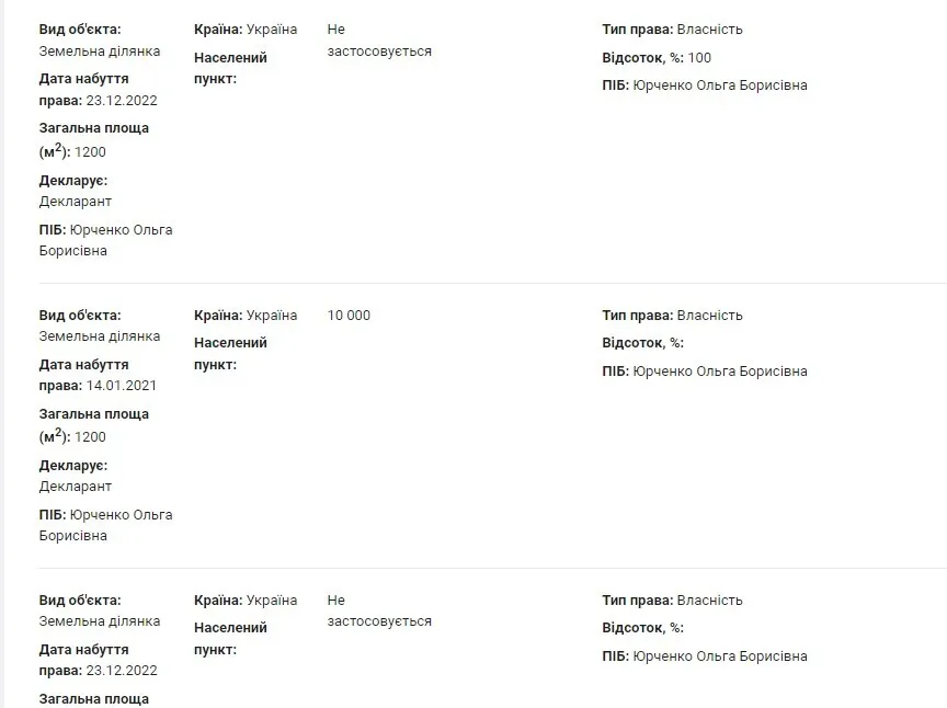 Декларація подана в березні 2024 року