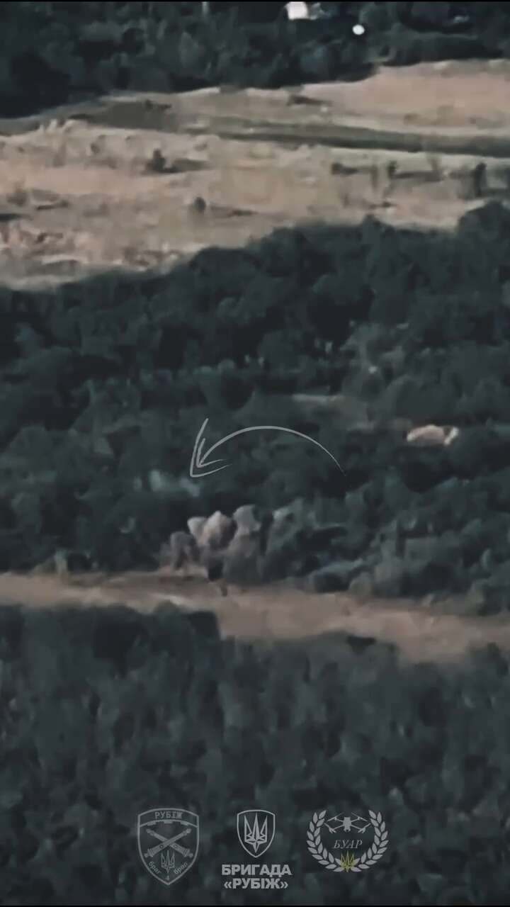 Arranged dqxikeidqxitkant