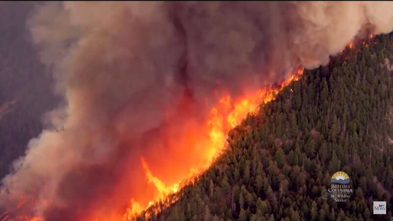 В Калифорнии вспыхнул лес