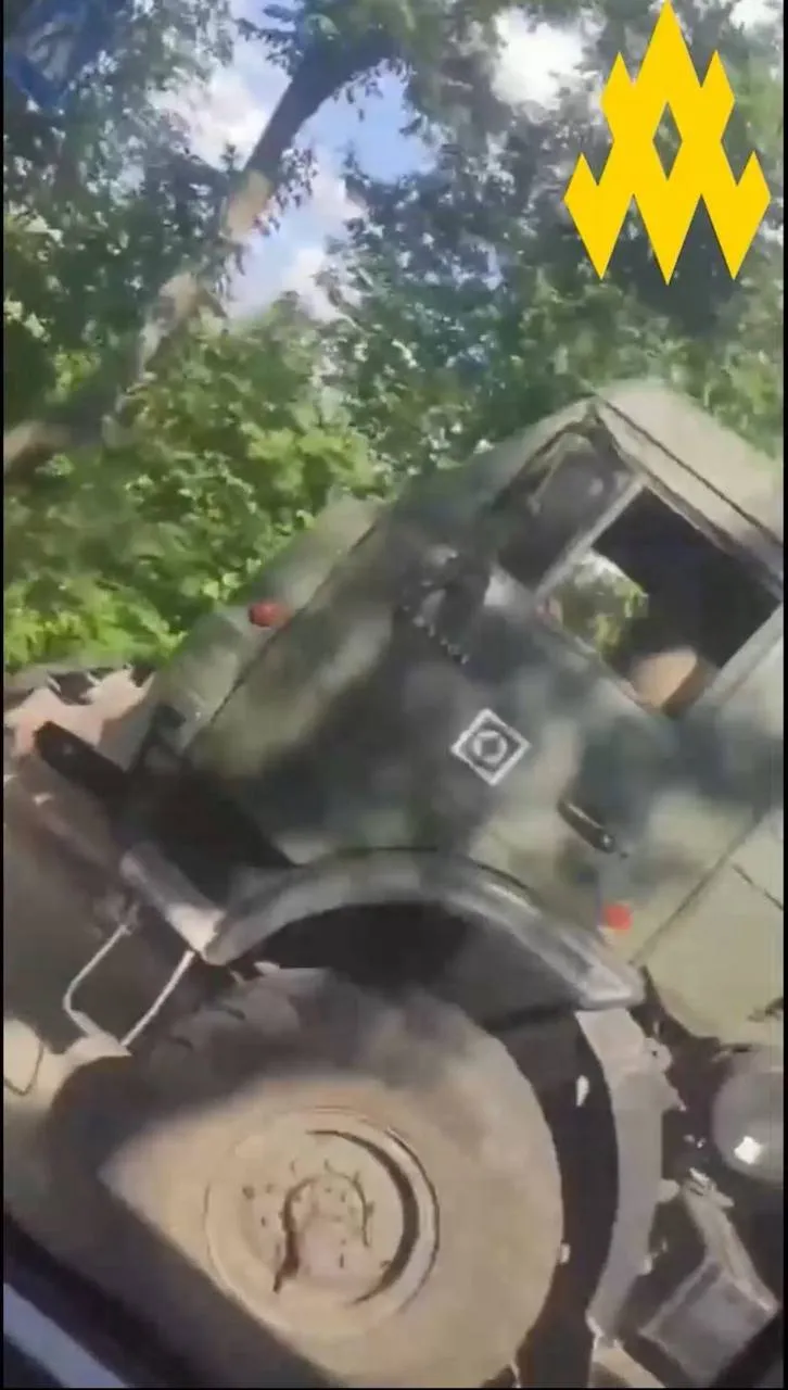    810-    :   dqxikeidqxidant