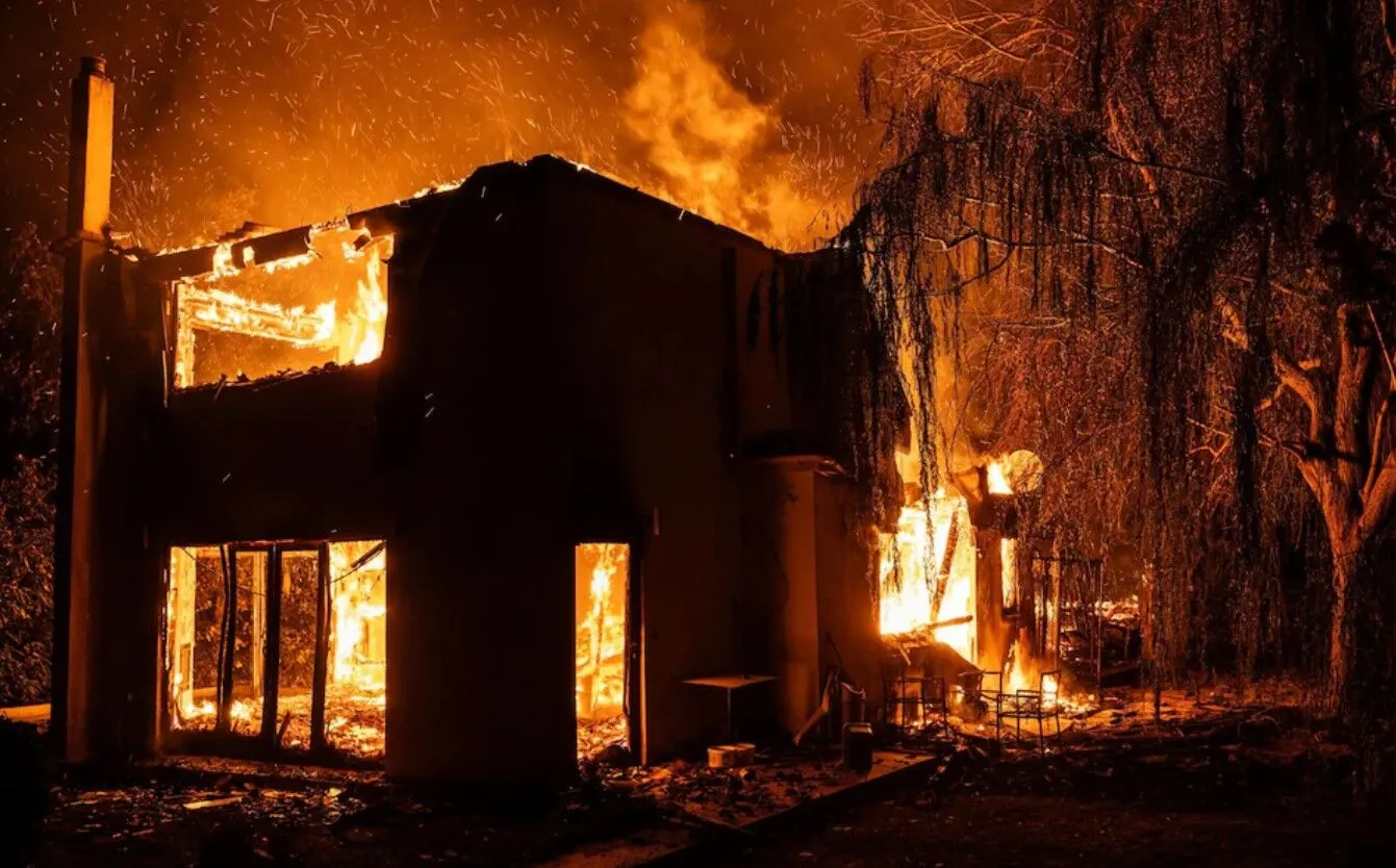 В Греции третий день бушуют мощные лесные пожары: погиб человек dqxikeidqxidant