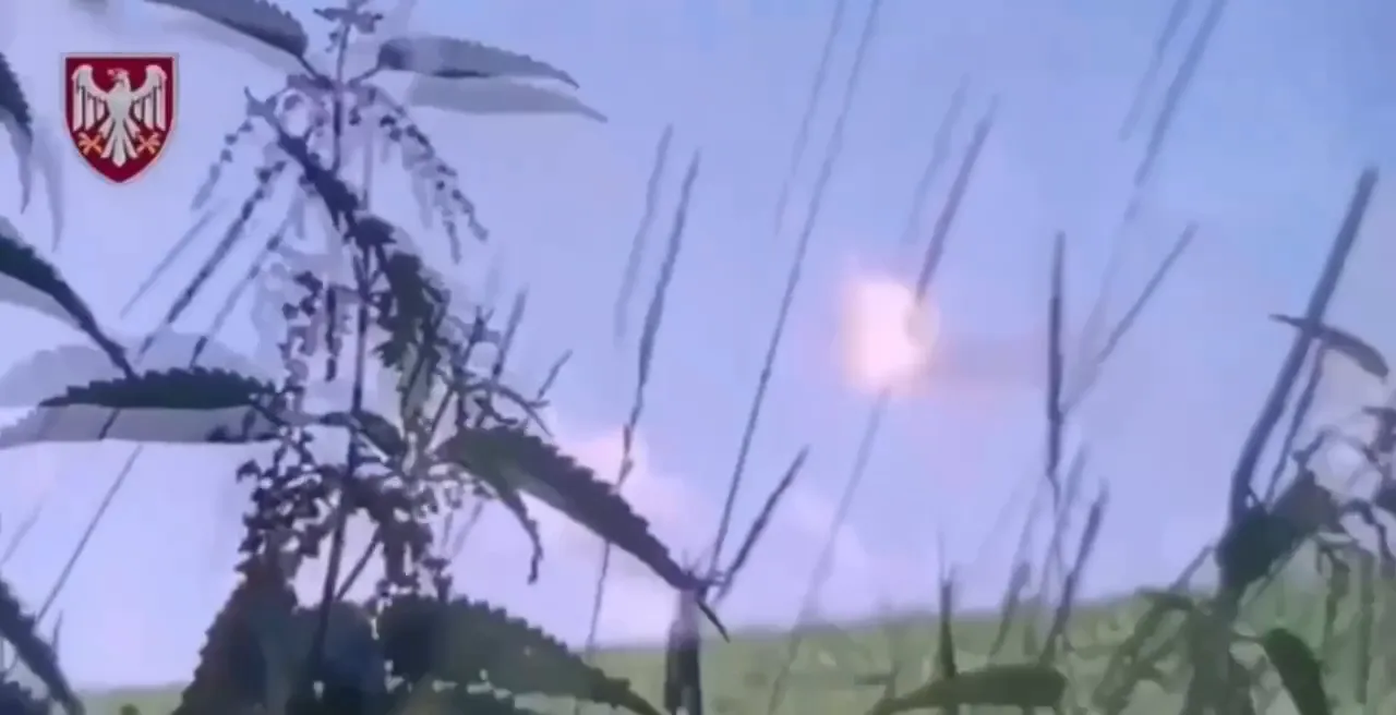 У мережі показали ймовірний момент збиття російського Ка-52 на Курщині: ефектне відео dqxikeidqxiqxxant