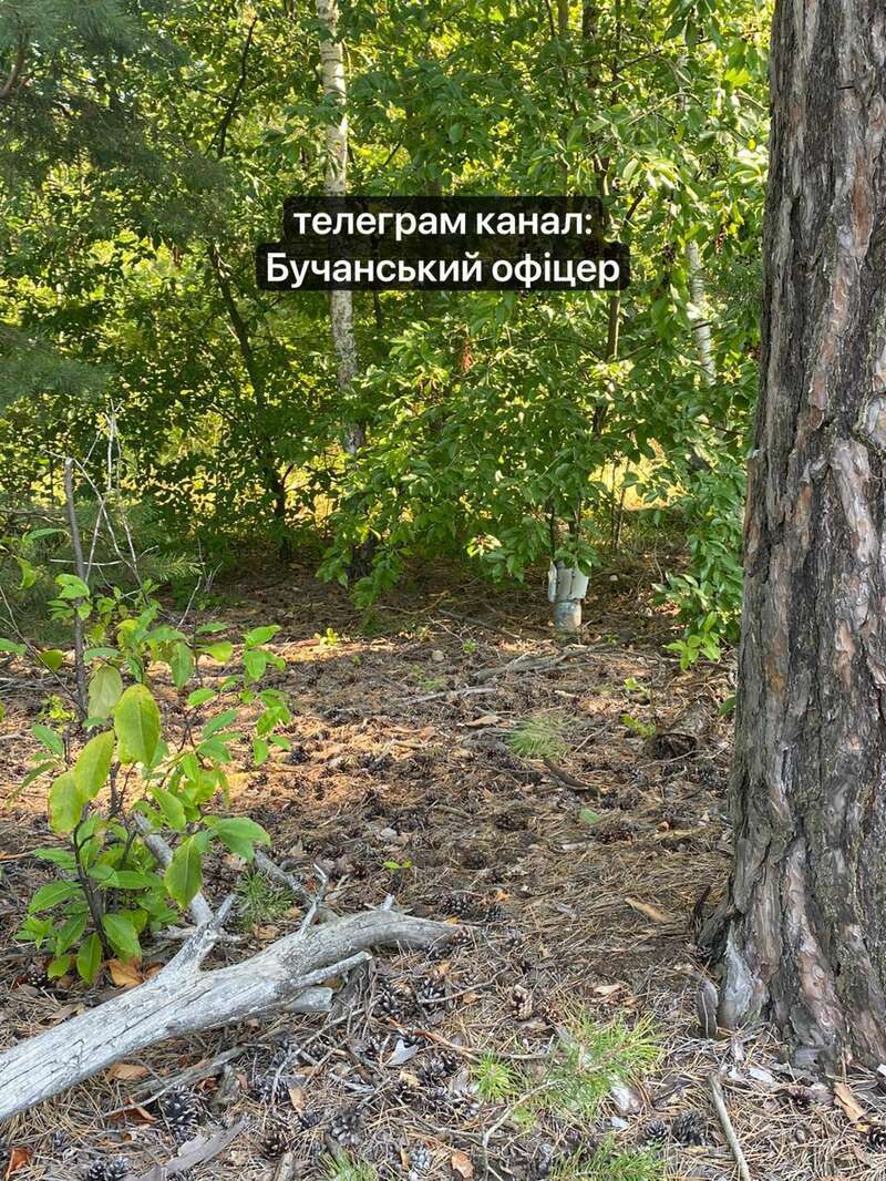 An undetonated shell from a nuclear bomb was found in a forest near Kiev.