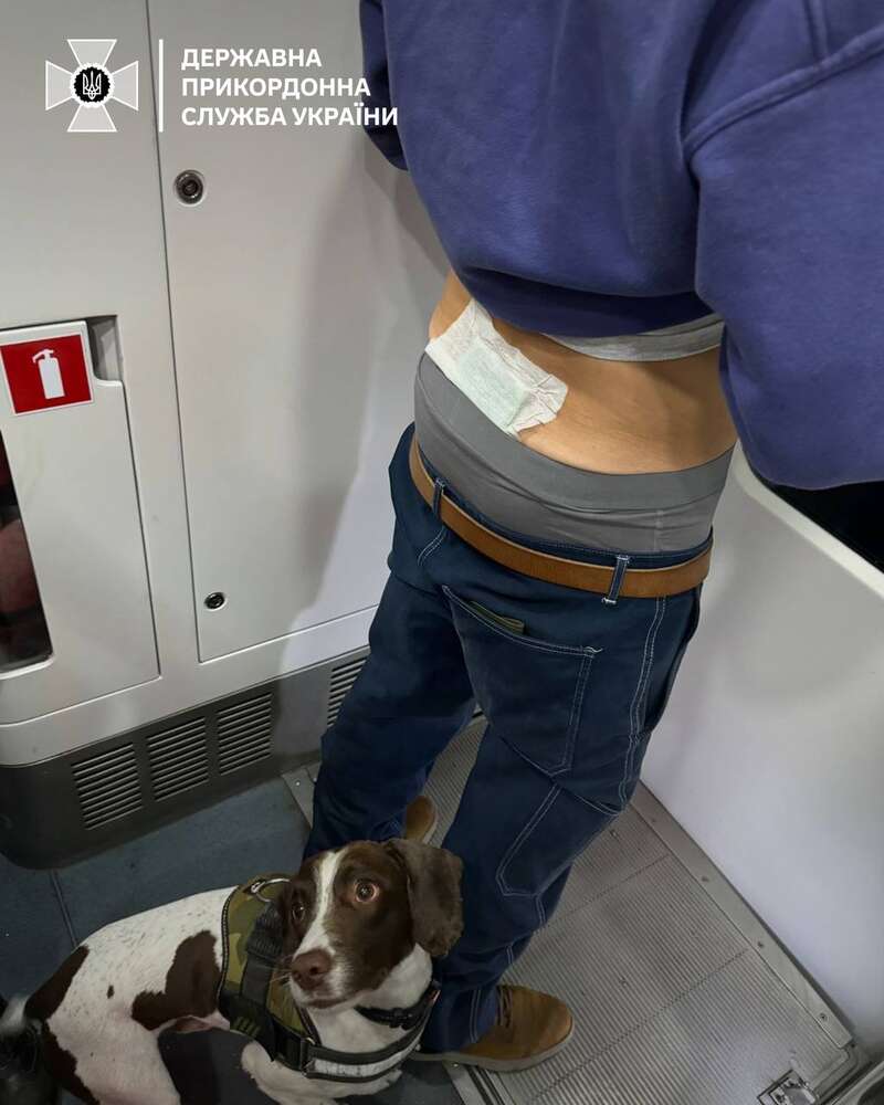 Пограничники задержали иностранца, который перевозил гашиш, приклеенным к спине (фото) фото 1 dqxikeidqxitkant