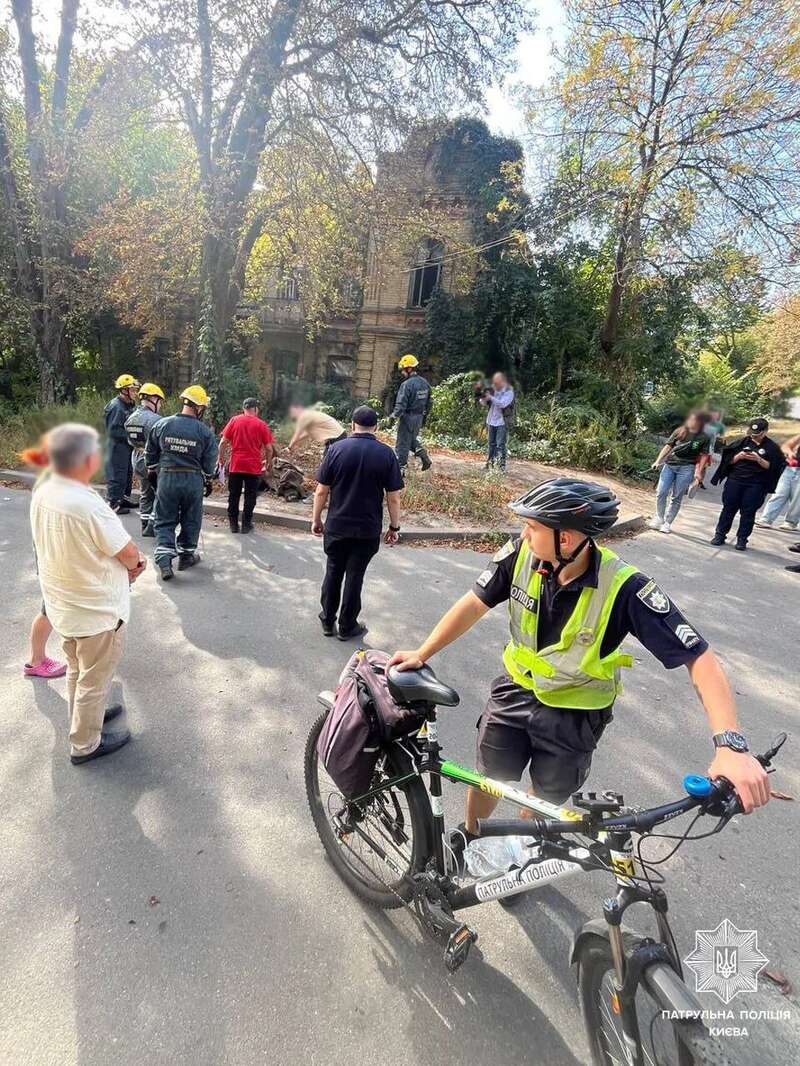 Бегал между домами: в Киеве неподалеку от центра заметили лося. Все подробности, фото и видео