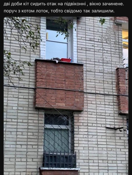 ʳ, ,     dqxikeidqxitkant