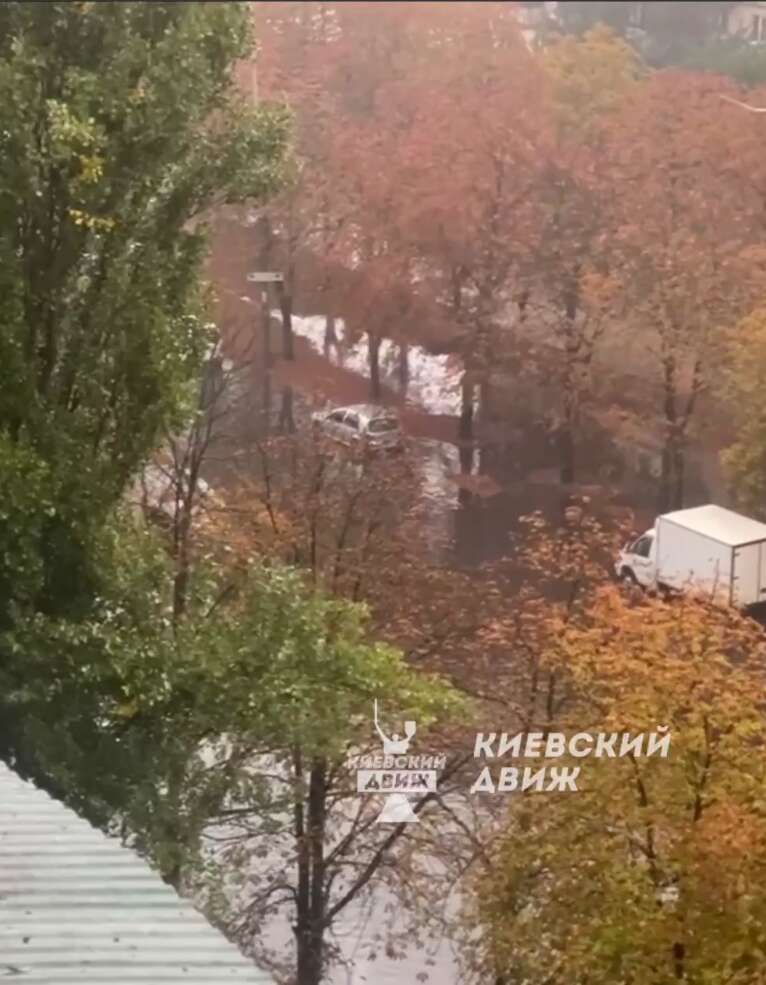    :   -      . ,    dqxikeidqxidant