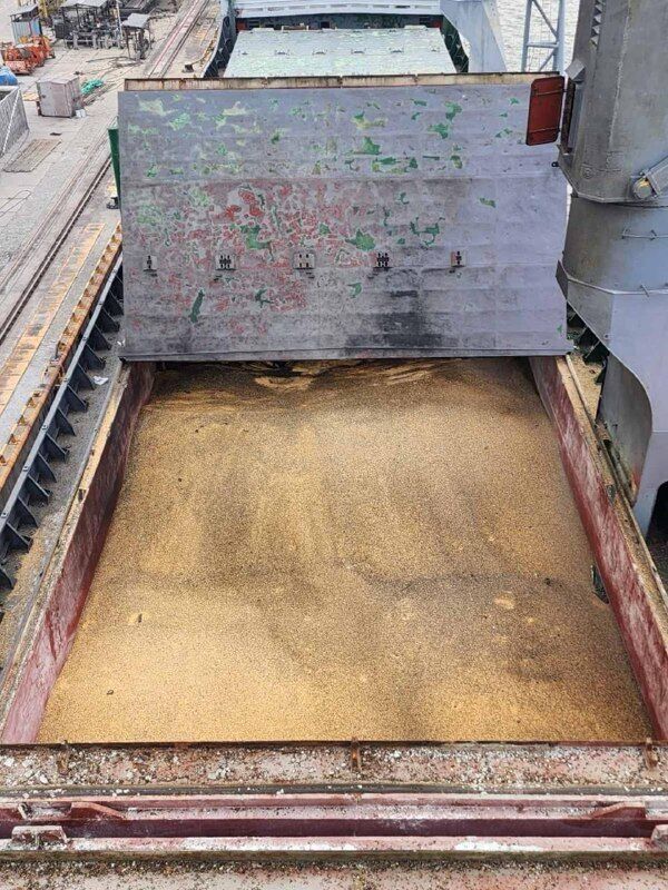 Через обстріл пошкоджено 6 тисяч тонн кукурудзи dqxikeidqxitkant