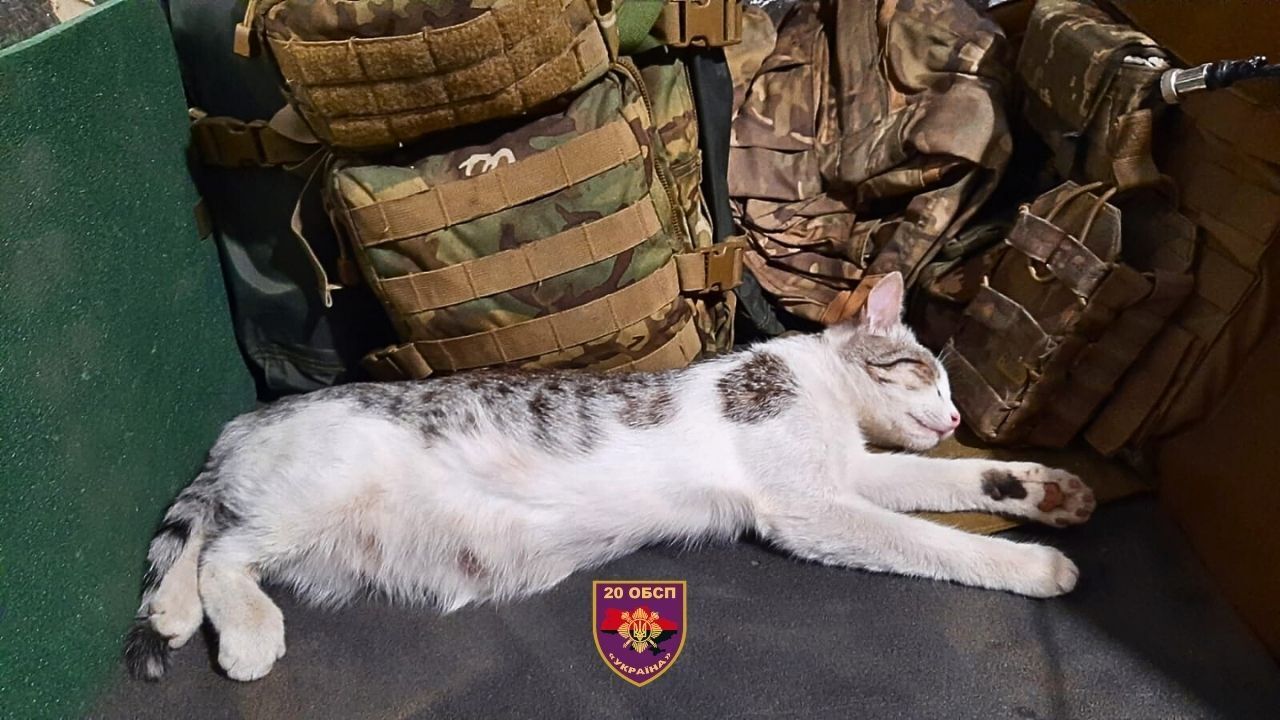   :         .  dqxikeidqxiqqeant