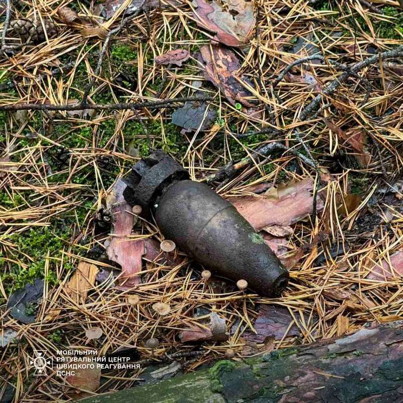 На Киевщине мужчина во время сбора грибов нашел кассетную авиабомбу. Подробности и фото dqxikeidqxiqqeant