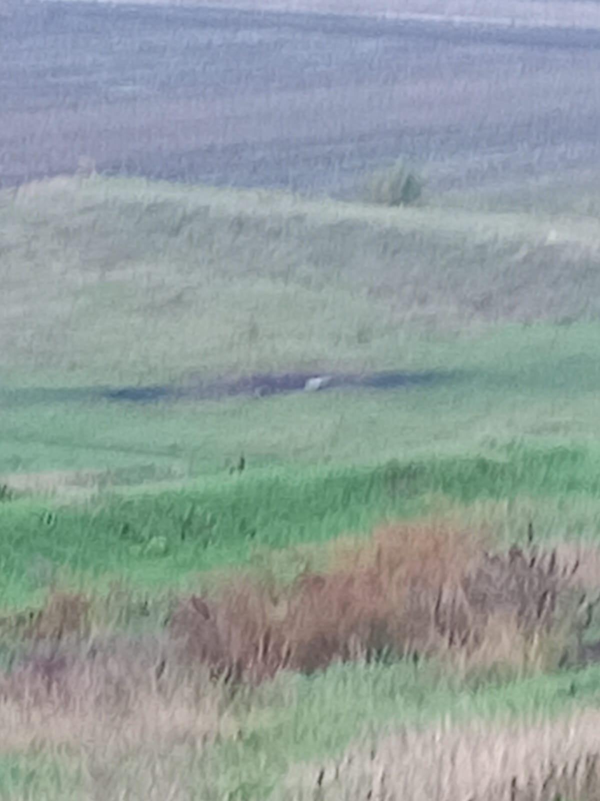 В Молдове, у границы с Украиной, обнаружены обломки ракеты dqxikeidqxiqqeant