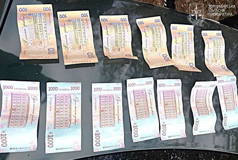 На Житомирщині затримали двох чоловіків, які