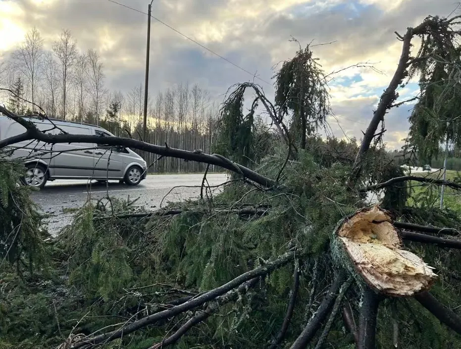 На заході Фінляндії вперше в історії зафіксували ураган: без електрики залишилися тисячі будинків. Фото dqxikeidqxitkant