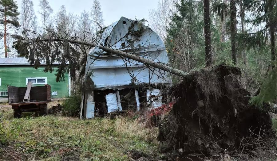 На заході Фінляндії вперше в історії зафіксували ураган: без електрики залишилися тисячі будинків. Фото